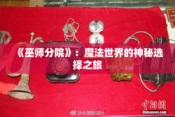 《巫师分院》：魔法世界的神秘选择之旅
