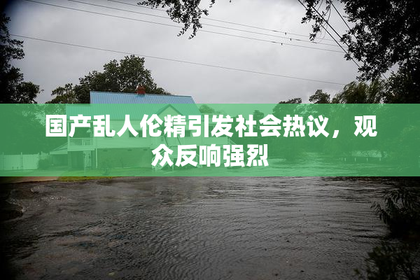 国产乱人伦精引发社会热议，观众反响强烈