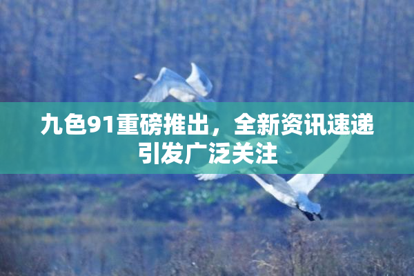 九色91重磅推出，全新资讯速递引发广泛关注