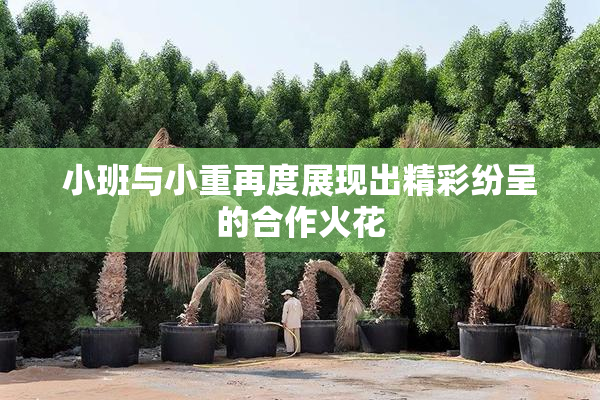小班与小重再度展现出精彩纷呈的合作火花