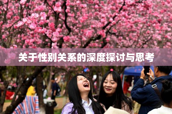 关于性别关系的深度探讨与思考