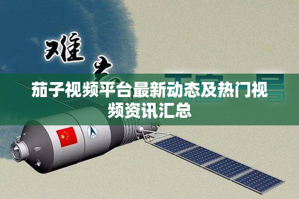 茄子视频平台最新动态及热门视频资讯汇总