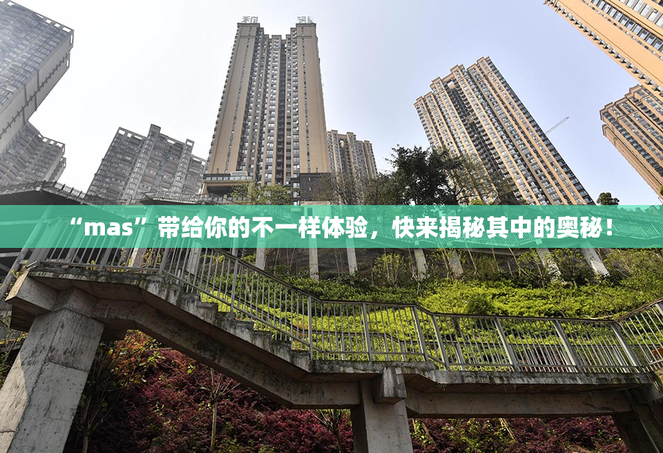 “mas”带给你的不一样体验，快来揭秘其中的奥秘！