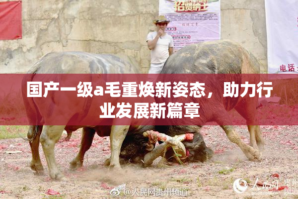 国产一级a毛重焕新姿态，助力行业发展新篇章