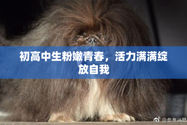 初高中生粉嫩青春，活力满满绽放自我