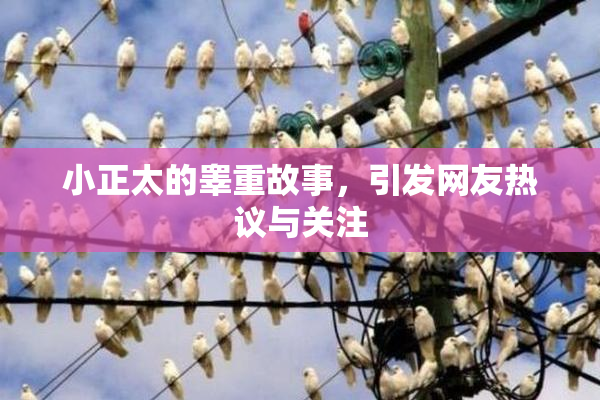 小正太的睾重故事，引发网友热议与关注