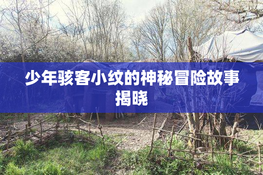 少年骇客小纹的神秘冒险故事揭晓