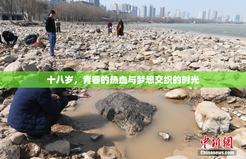 十八岁，青春的热血与梦想交织的时光