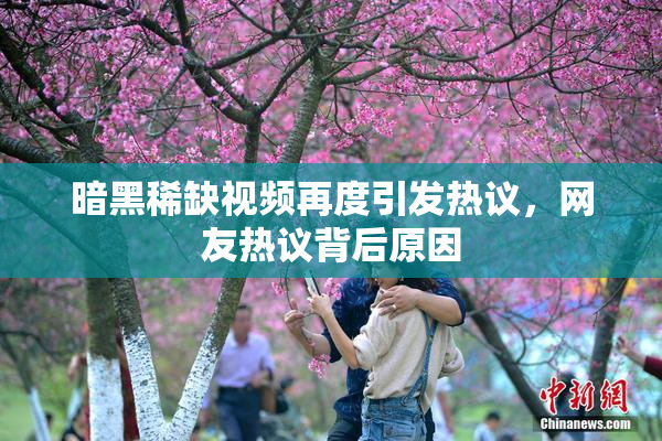 暗黑稀缺视频再度引发热议，网友热议背后原因