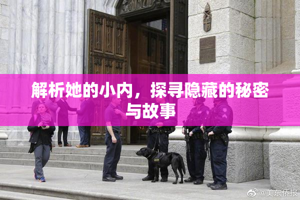 解析她的小内，探寻隐藏的秘密与故事