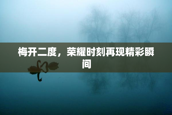 梅开二度，荣耀时刻再现精彩瞬间