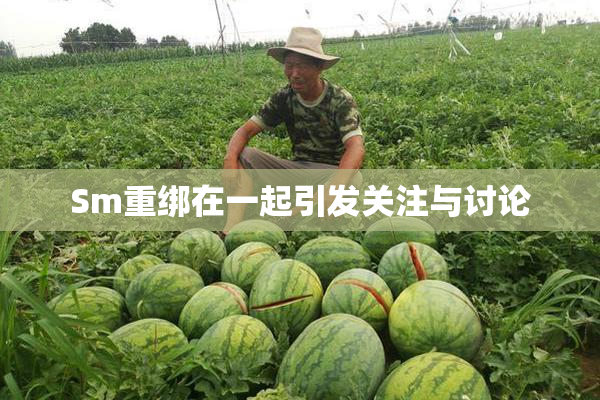 Sm重绑在一起引发关注与讨论