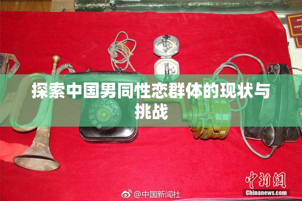 探索中国男同性恋群体的现状与挑战