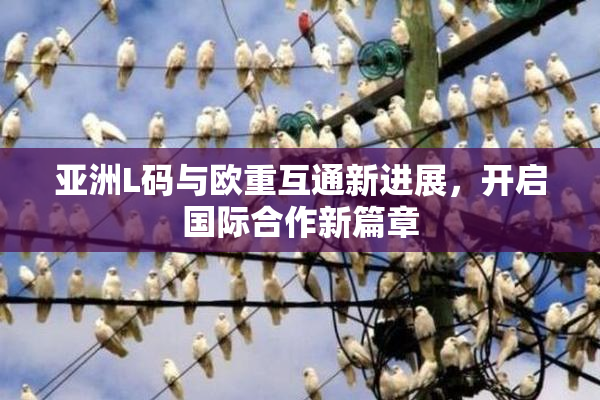 亚洲L码与欧重互通新进展，开启国际合作新篇章
