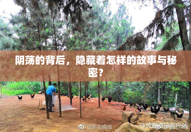 阴荡的背后，隐藏着怎样的故事与秘密？
