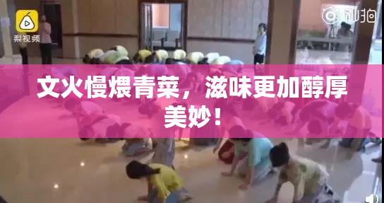 文火慢煨青菜，滋味更加醇厚美妙！