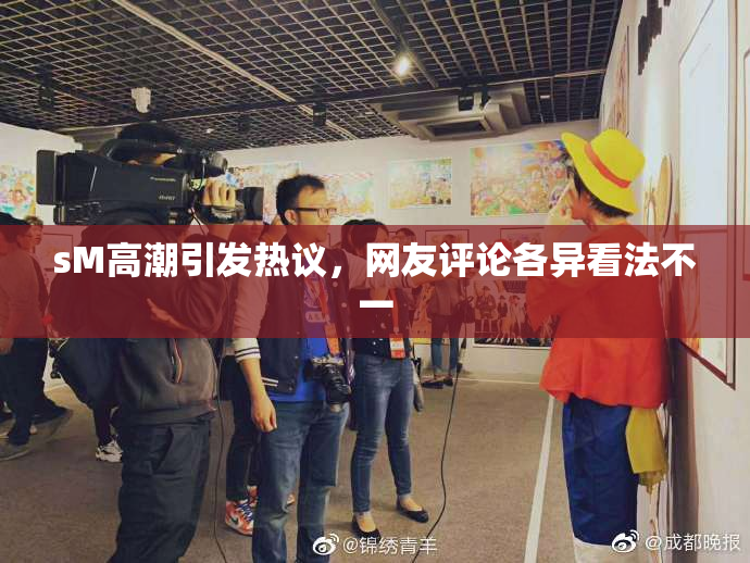 sM高潮引发热议，网友评论各异看法不一