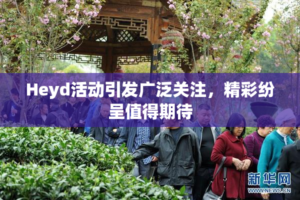 Heyd活动引发广泛关注，精彩纷呈值得期待