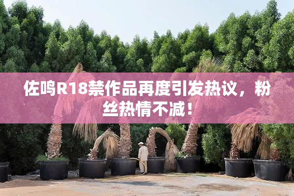佐鸣R18禁作品再度引发热议，粉丝热情不减！