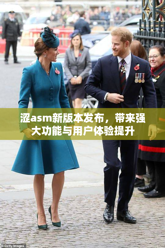 涩asm新版本发布，带来强大功能与用户体验提升