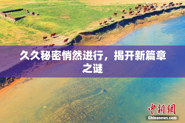 久久秘密悄然进行，揭开新篇章之谜