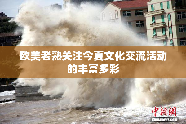 欧美老熟关注今夏文化交流活动的丰富多彩