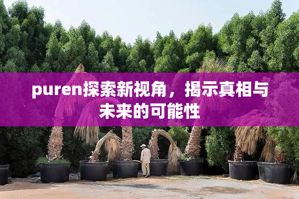 puren探索新视角，揭示真相与未来的可能性