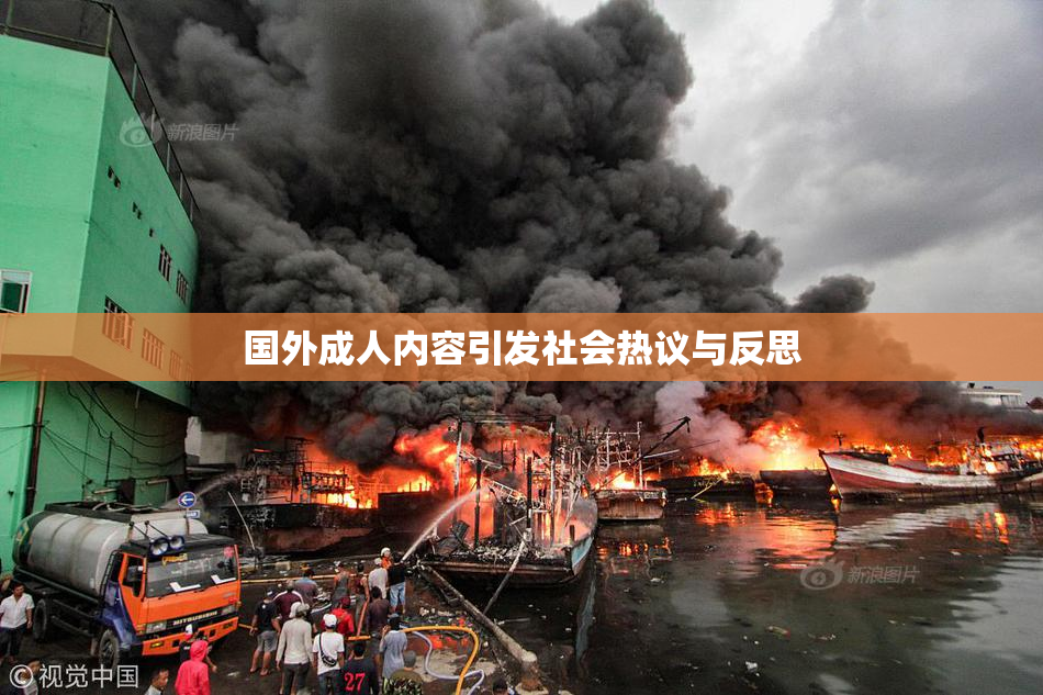 国外成人内容引发社会热议与反思