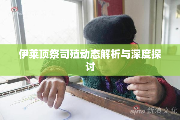 伊莱顶祭司殖动态解析与深度探讨