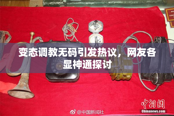 变态调教无码引发热议，网友各显神通探讨