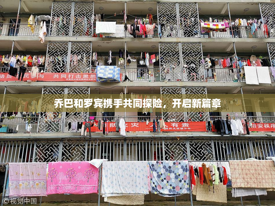 乔巴和罗宾携手共同探险，开启新篇章