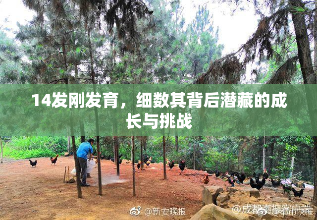 14发刚发育，细数其背后潜藏的成长与挑战