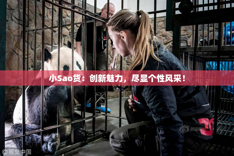 小Sao货：创新魅力，尽显个性风采！