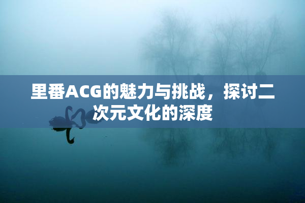 里番ACG的魅力与挑战，探讨二次元文化的深度