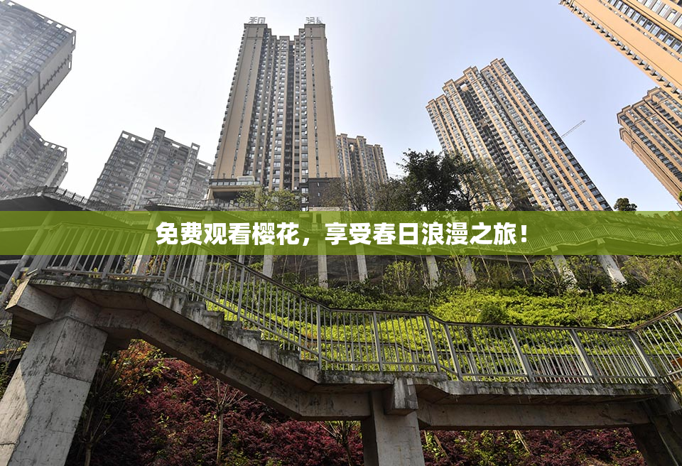免费观看樱花，享受春日浪漫之旅！