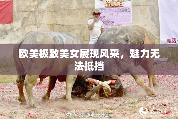 欧美极致美女展现风采，魅力无法抵挡