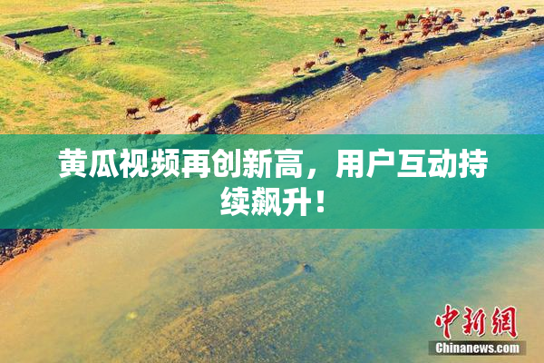 黄瓜视频再创新高，用户互动持续飙升！
