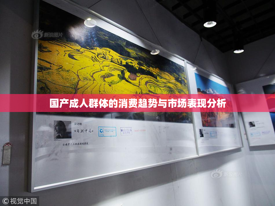 国产成人群体的消费趋势与市场表现分析