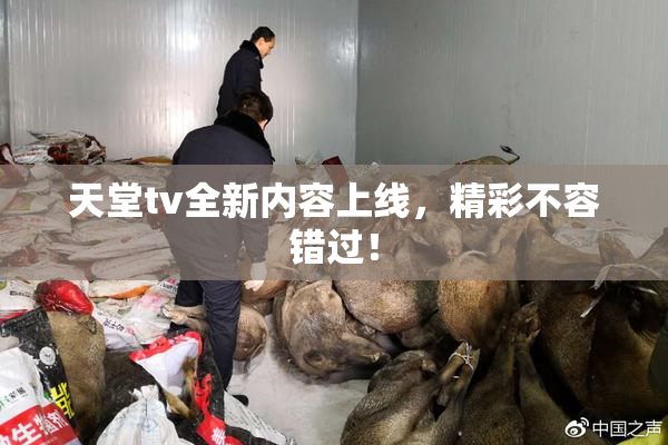天堂tv全新内容上线，精彩不容错过！