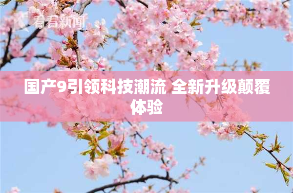 国产9引领科技潮流 全新升级颠覆体验