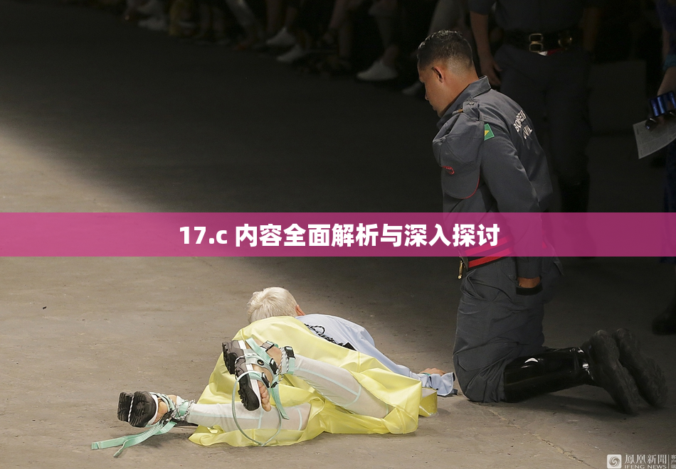 17.c 内容全面解析与深入探讨