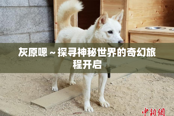 灰原嗯～探寻神秘世界的奇幻旅程开启