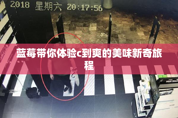 蓝莓带你体验c到爽的美味新奇旅程