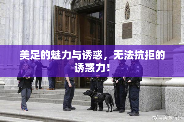 美足的魅力与诱惑，无法抗拒的诱惑力！