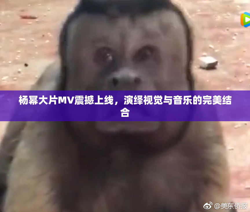 杨幂大片MV震撼上线，演绎视觉与音乐的完美结合