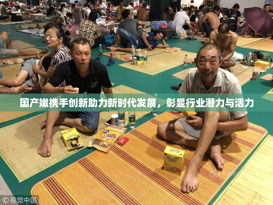 国产嫩携手创新助力新时代发展，彰显行业潜力与活力
