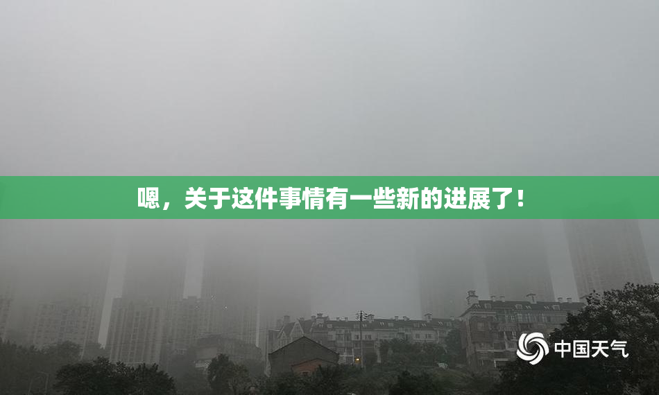 嗯，关于这件事情有一些新的进展了！