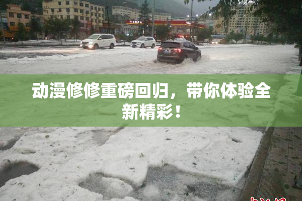 动漫修修重磅回归，带你体验全新精彩！