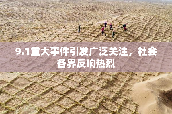 9.1重大事件引发广泛关注，社会各界反响热烈