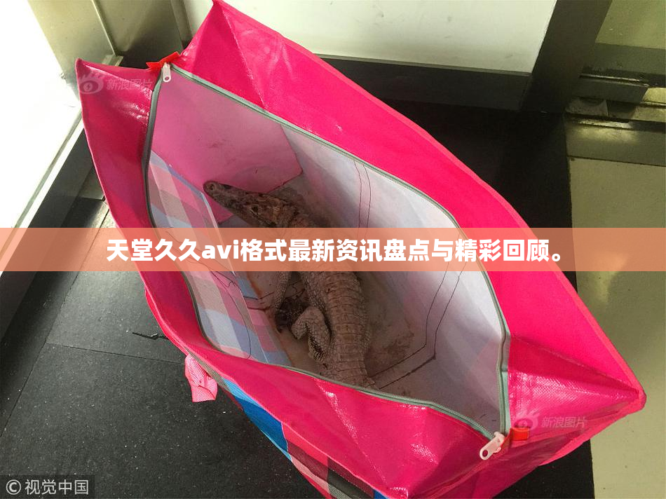 天堂久久avi格式最新资讯盘点与精彩回顾。